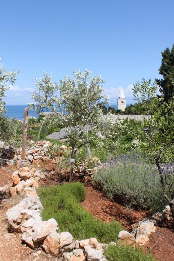 Apartment Mali Losinj 7879B المظهر الخارجي الصورة